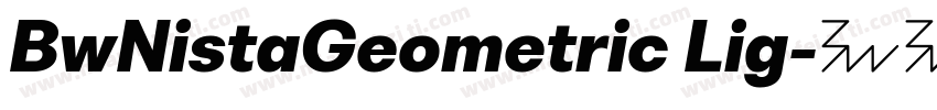BwNistaGeometric Lig字体转换